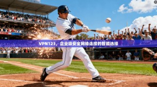 VPN123，企业级安全网络连接的智能选择