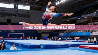 VPN被封锁后的应对策略与网络安全合规建议