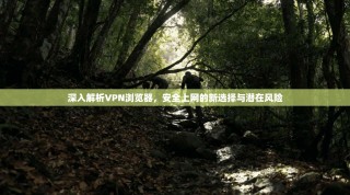 深入解析VPN浏览器，安全上网的新选择与潜在风险