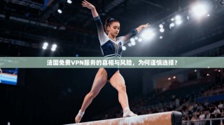 法国免费VPN服务的真相与风险，为何谨慎选择？
