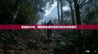 爱威奶VPN，网络隐私保护的双刃剑与合规警示