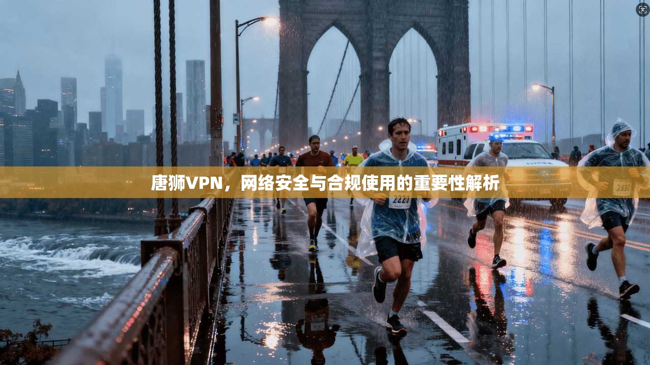唐狮VPN，网络安全与合规使用的重要性解析  第1张