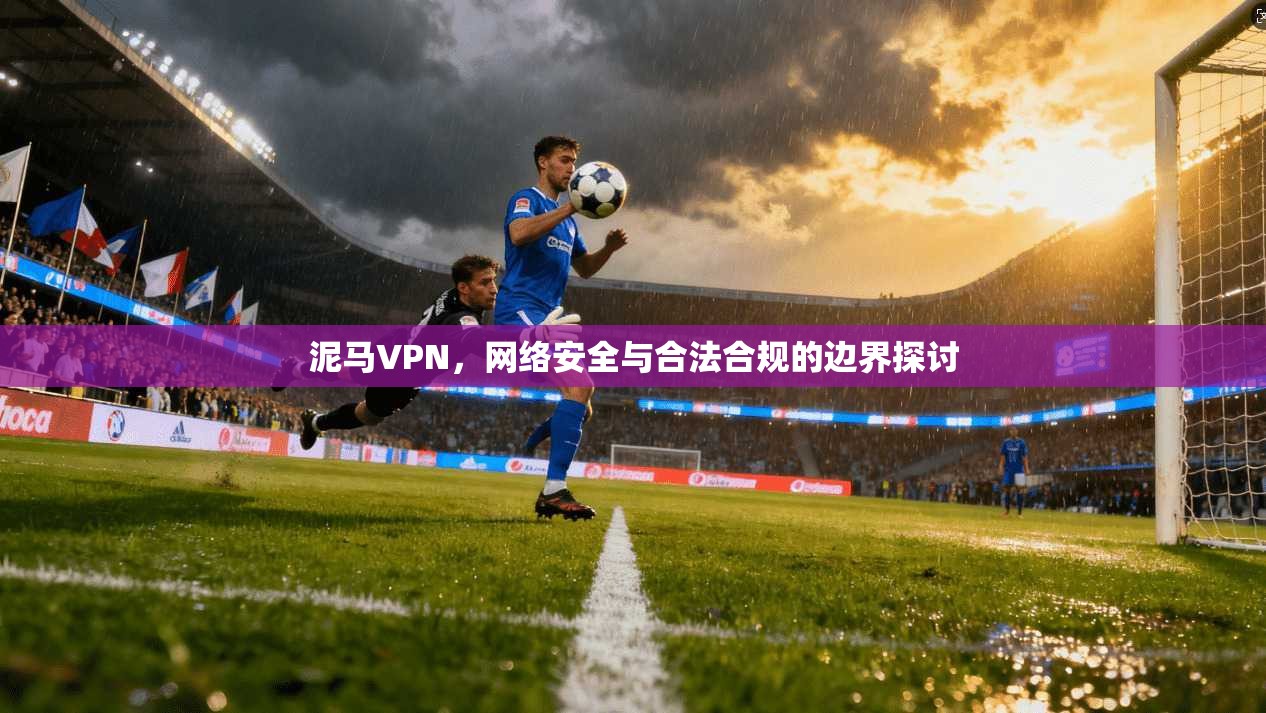 泥马VPN，网络安全与合法合规的边界探讨  第1张