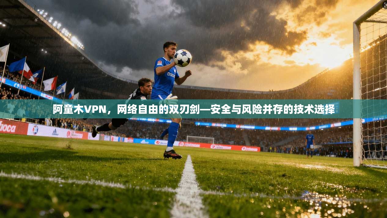 阿童木VPN，网络自由的双刃剑—安全与风险并存的技术选择  第1张