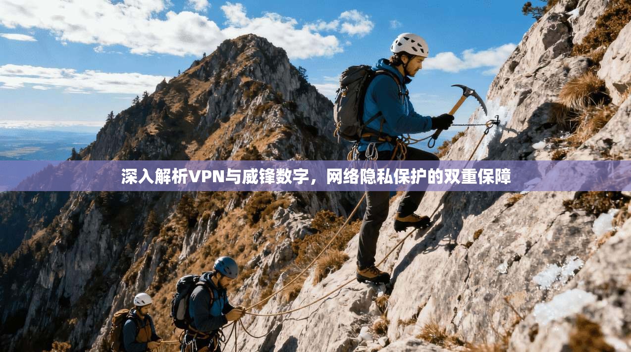 深入解析VPN与威锋数字，网络隐私保护的双重保障  第1张