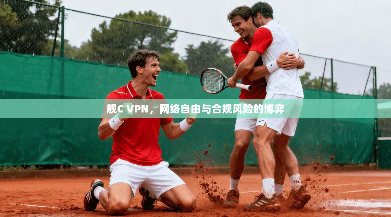 舰C VPN，网络自由与合规风险的博弈  第1张