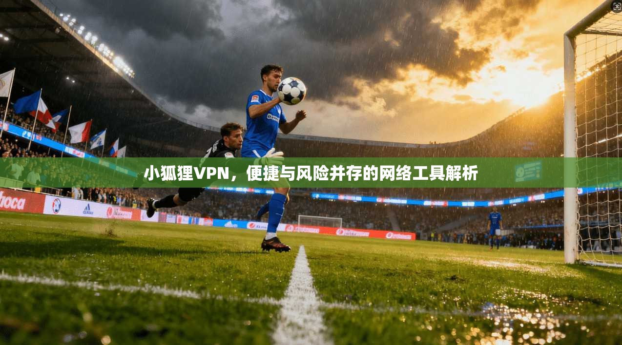 小狐狸VPN，便捷与风险并存的网络工具解析  第1张