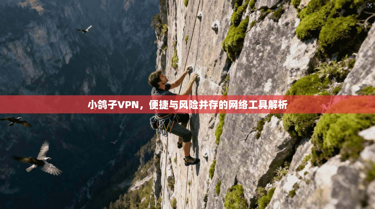 小鸽子VPN,便捷与风险并存的网络工具解析 第1张 小鸽子VPN,便捷与风险并存的网络工具解析 第1张