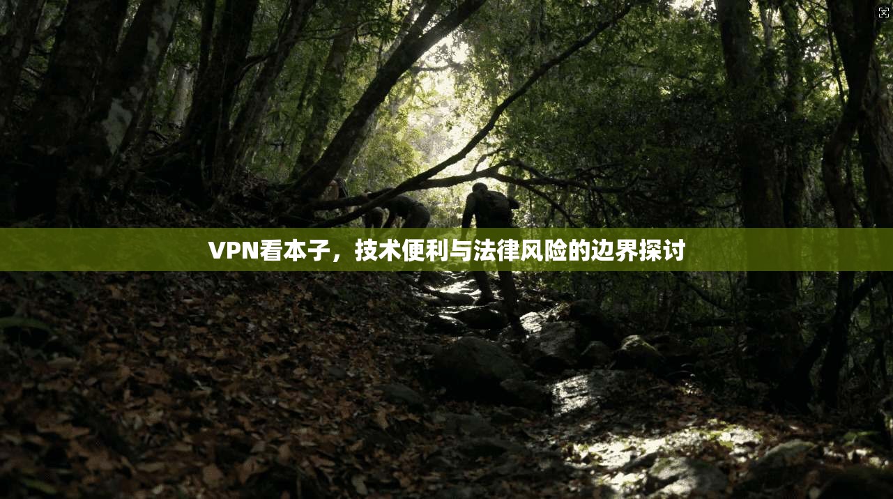 VPN看本子,技术便利与法律风险的边界探讨 第1张 VPN看本子,技术便利与法律风险的边界探讨 第1张