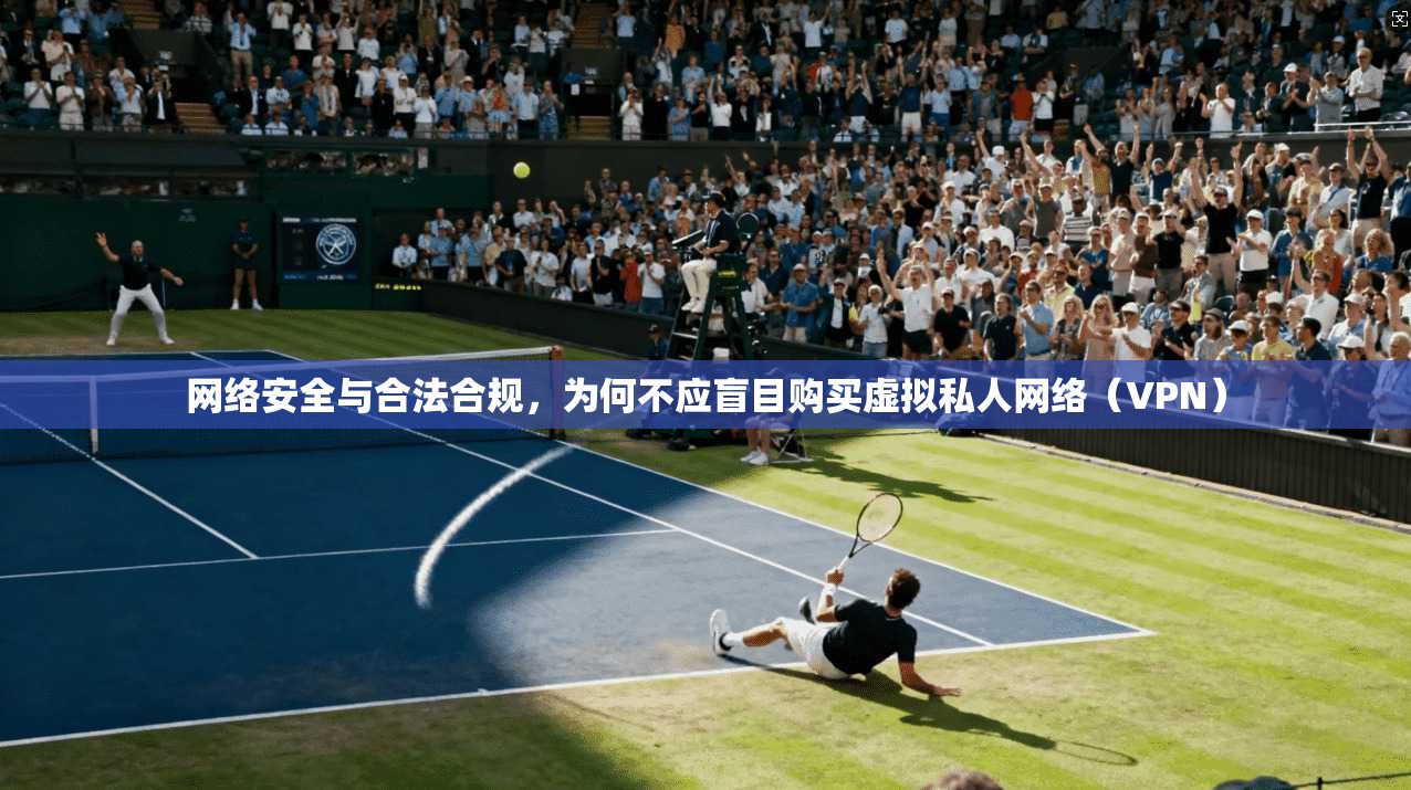 网络安全与合法合规，为何不应盲目购买虚拟私人网络（VPN）  第1张