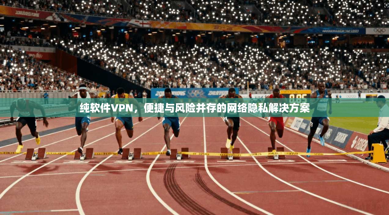 纯软件VPN，便捷与风险并存的网络隐私解决方案  第1张