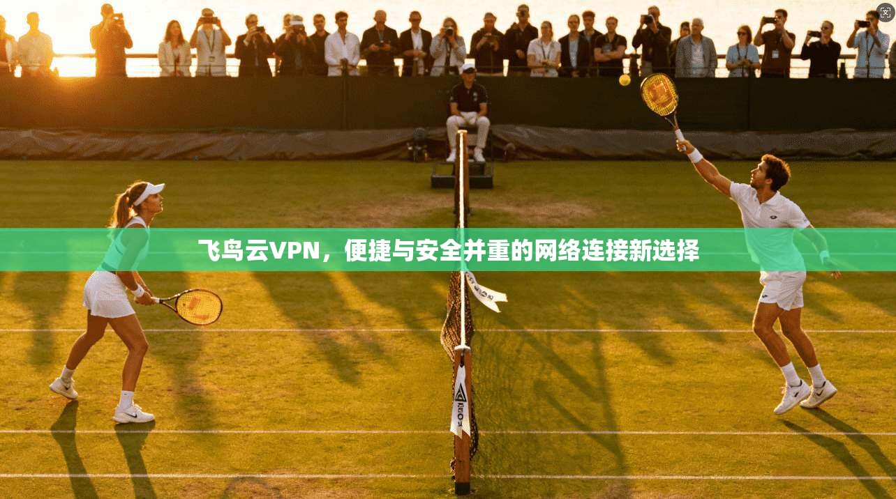 飞鸟云VPN，便捷与安全并重的网络连接新选择  第1张