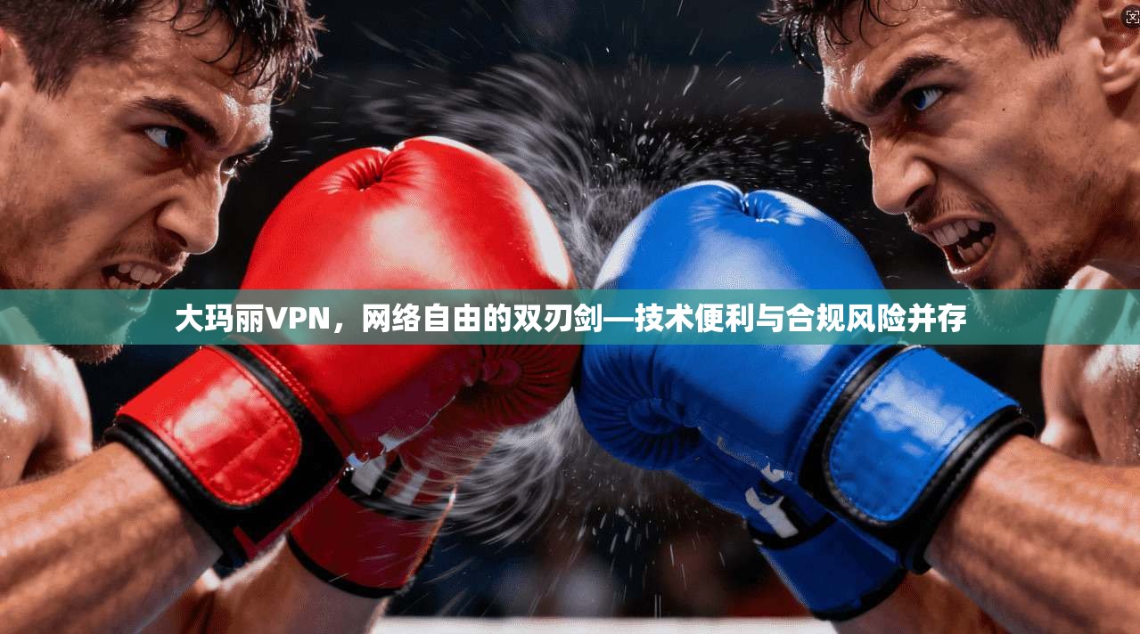 大玛丽VPN，网络自由的双刃剑—技术便利与合规风险并存  第1张