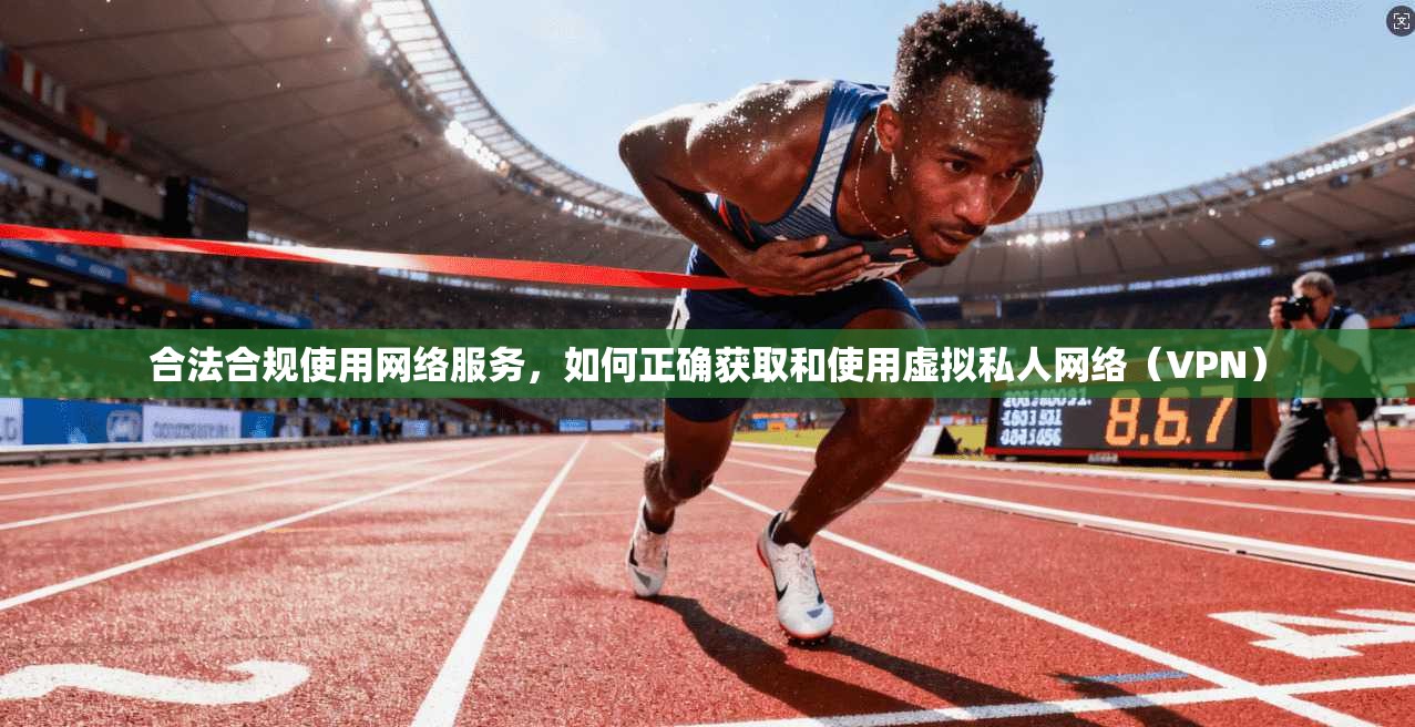 合法合规使用网络服务，如何正确获取和使用虚拟私人网络（VPN）  第1张
