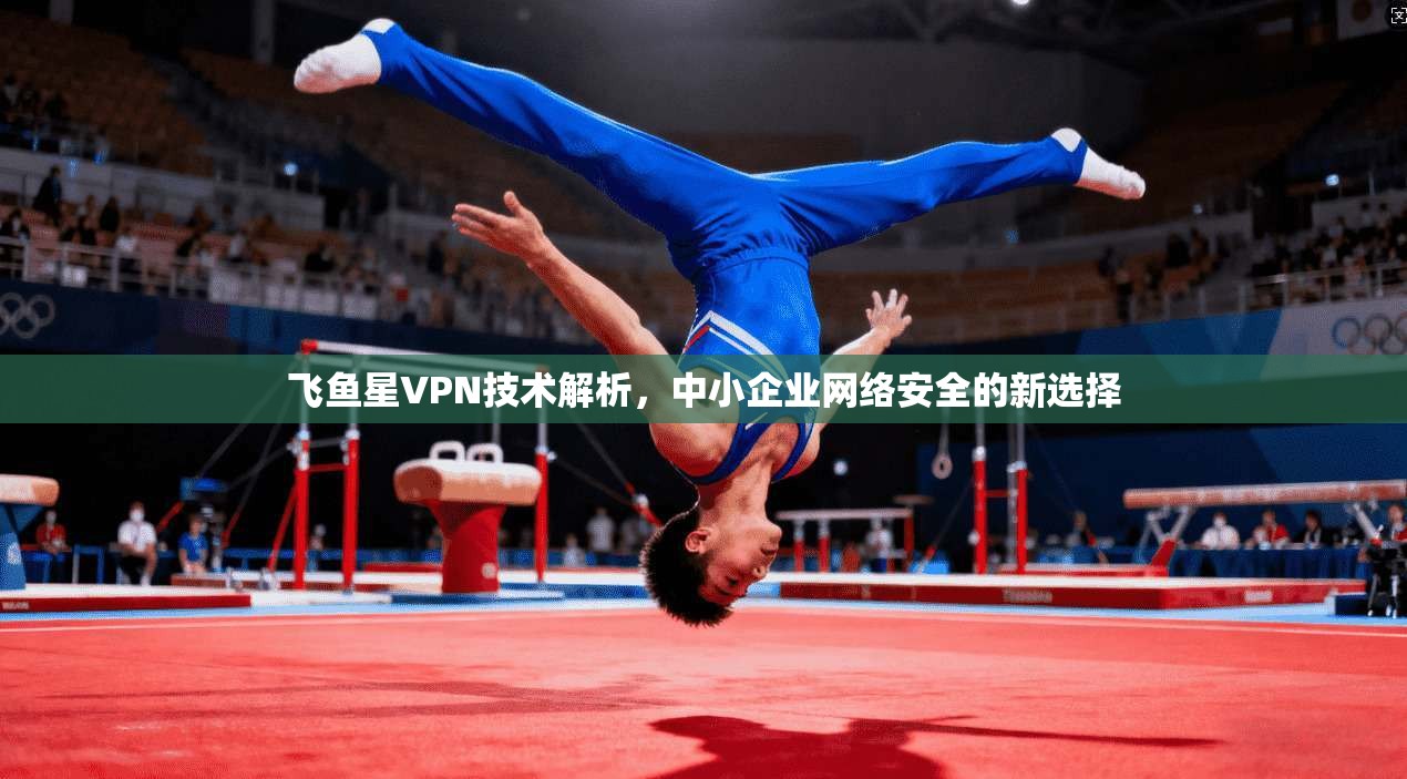飞鱼星VPN技术解析，中小企业网络安全的新选择  第1张