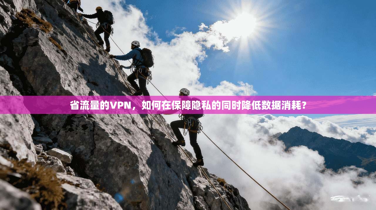 省流量的VPN,如何在保障隐私的同时降低数据消耗? 第1张 省流量的VPN,如何在保障隐私的同时降低数据消耗? 第1张