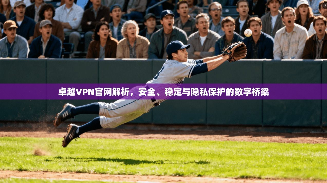 卓越VPN官网解析，安全、稳定与隐私保护的数字桥梁  第1张