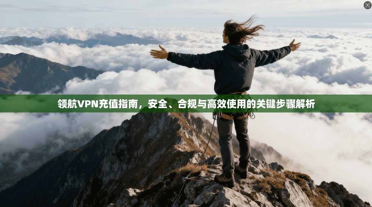 领航VPN充值指南，安全、合规与高效使用的关键步骤解析  第1张