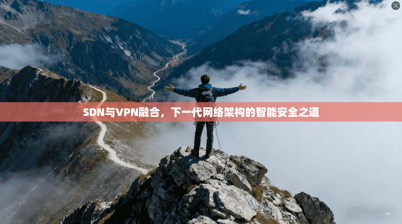 SDN与VPN融合，下一代网络架构的智能安全之道  第1张