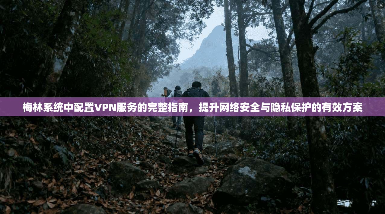 梅林系统中配置VPN服务的完整指南，提升网络安全与隐私保护的有效方案  第1张