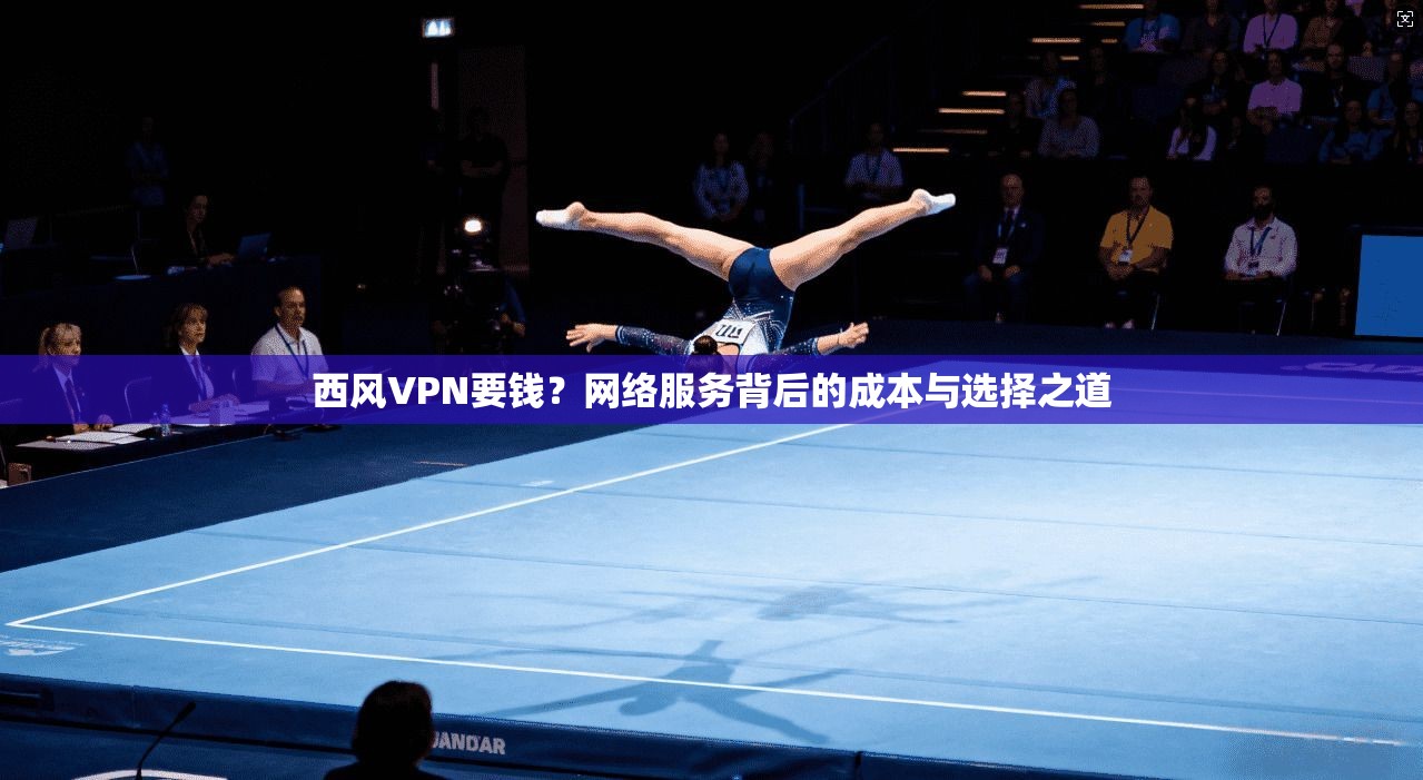 西风VPN要钱?网络服务背后的成本与选择之道 第1张 西风VPN要钱?网络服务背后的成本与选择之道 第1张