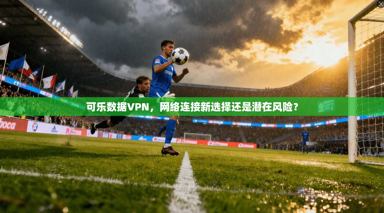 可乐数据VPN，网络连接新选择还是潜在风险？  第1张