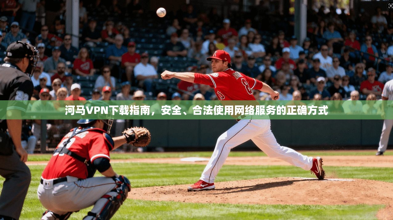 河马VPN下载指南，安全、合法使用网络服务的正确方式  第1张