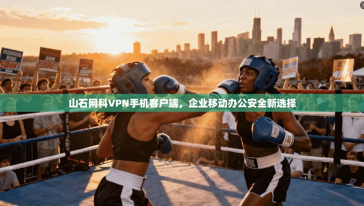 山石网科VPN手机客户端,企业移动办公安全新选择 第1张 山石网科VPN手机客户端,企业移动办公安全新选择 第1张