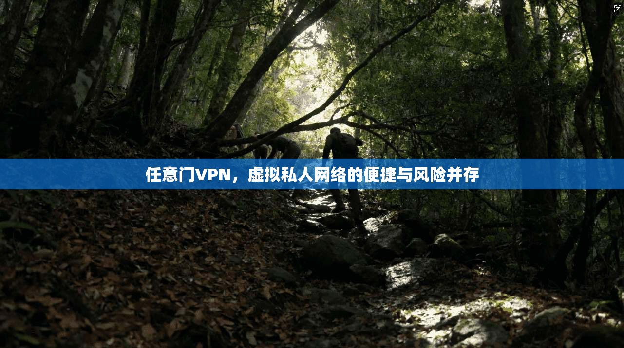 任意门VPN，虚拟私人网络的便捷与风险并存  第1张