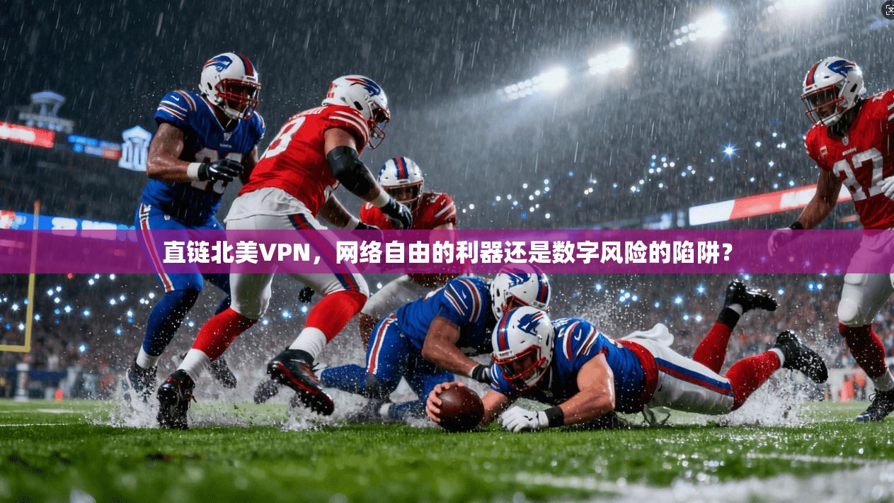 直链北美VPN，网络自由的利器还是数字风险的陷阱？  第1张