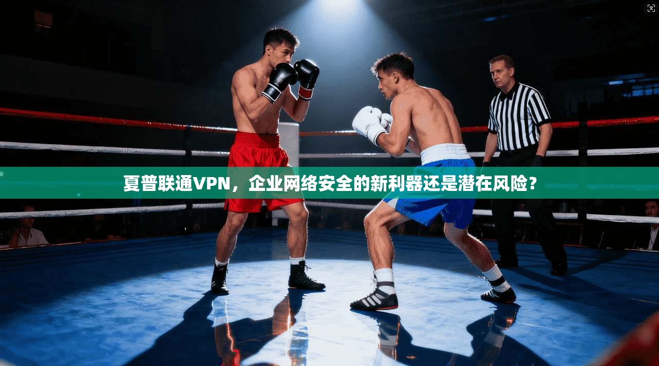 夏普联通VPN，企业网络安全的新利器还是潜在风险？  第1张