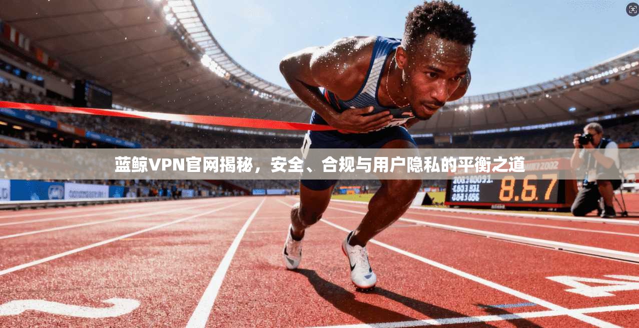蓝鲸VPN官网揭秘，安全、合规与用户隐私的平衡之道  第1张