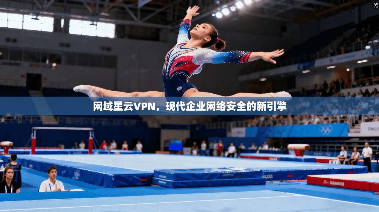 网域星云VPN，现代企业网络安全的新引擎  第1张