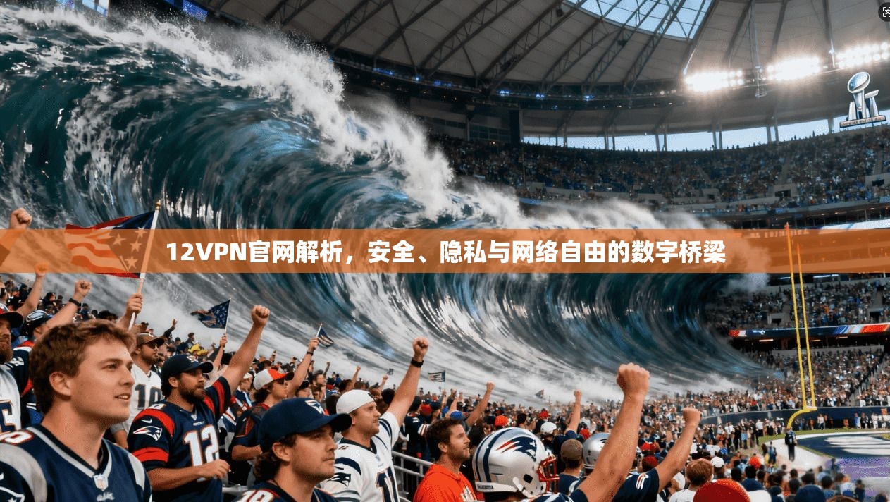 12VPN官网解析，安全、隐私与网络自由的数字桥梁  第1张