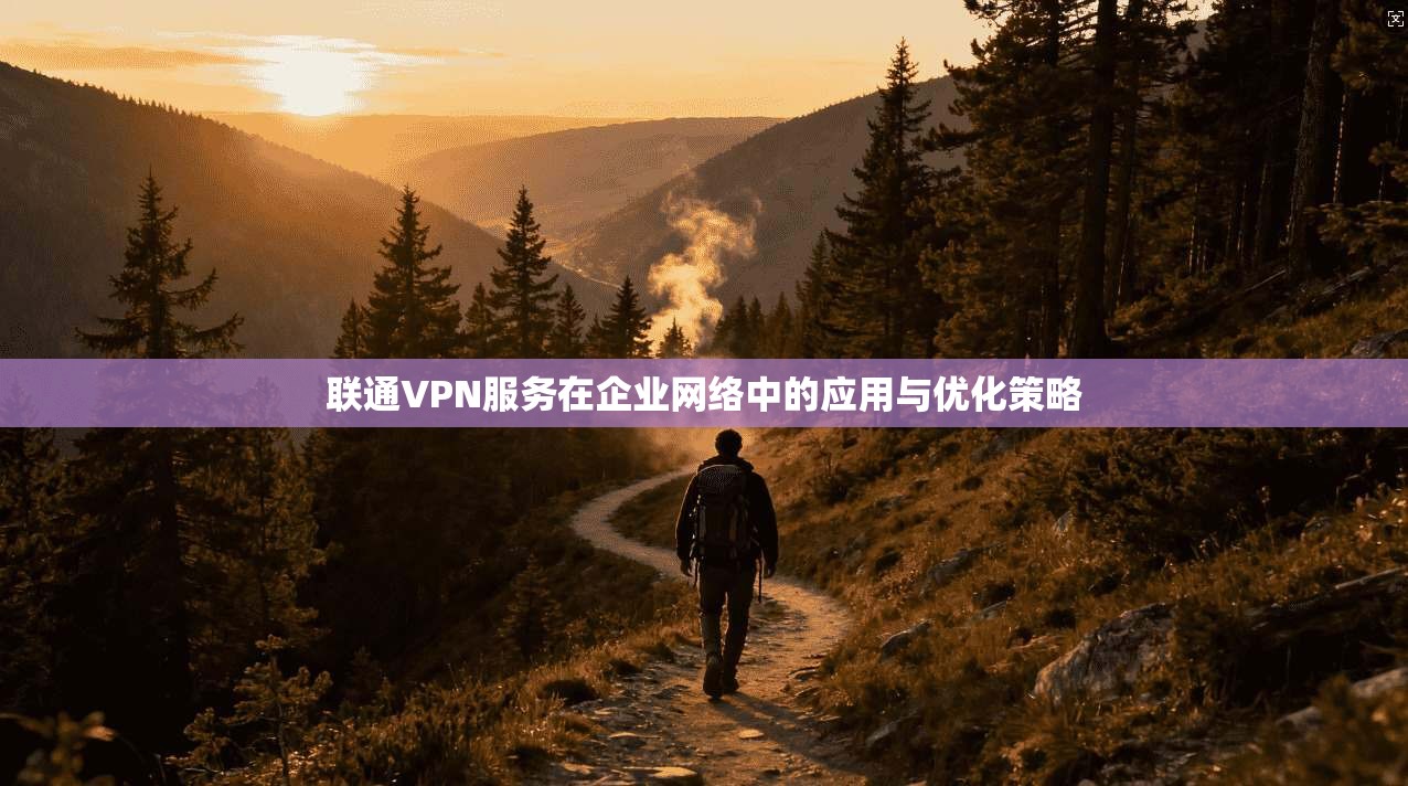 联通VPN服务在企业网络中的应用与优化策略