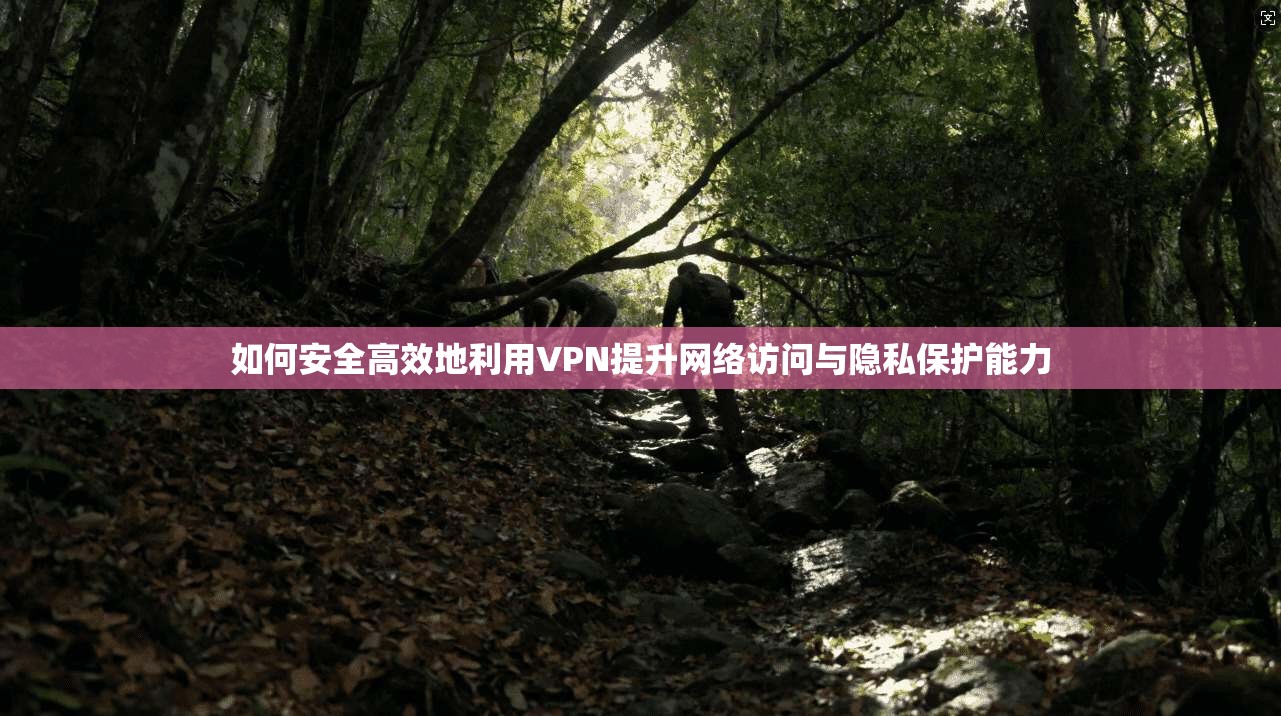 如何安全高效地利用VPN提升网络访问与隐私保护能力