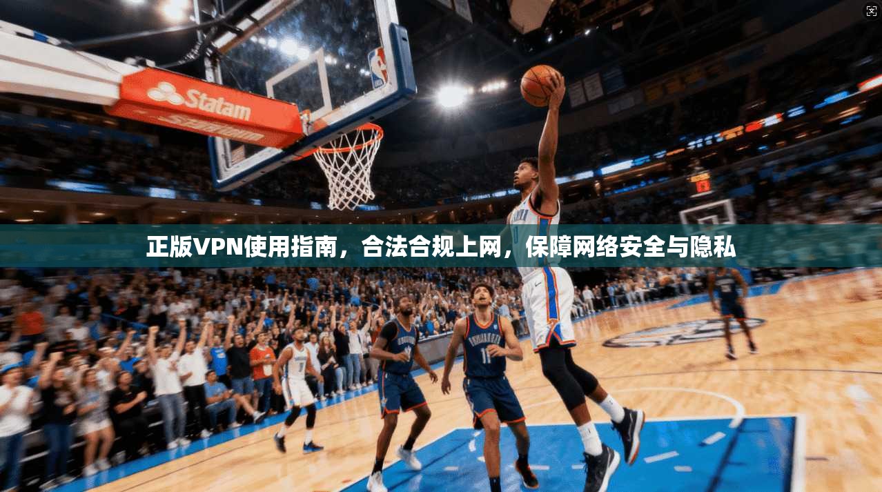 正版VPN使用指南，合法合规上网，保障网络安全与隐私