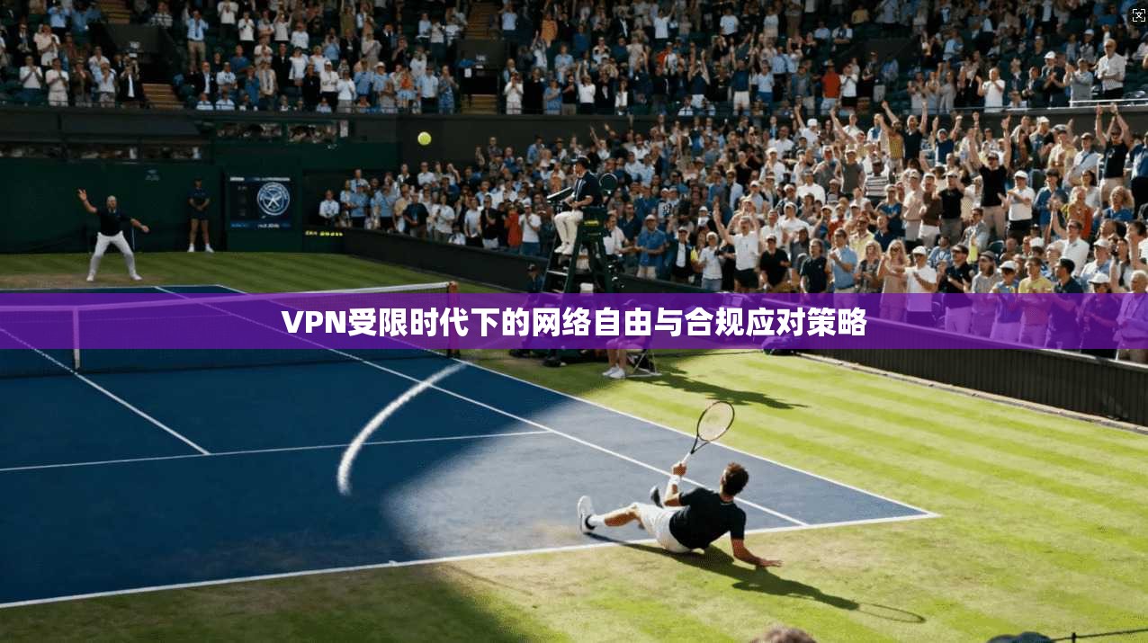 VPN受限时代下的网络自由与合规应对策略
