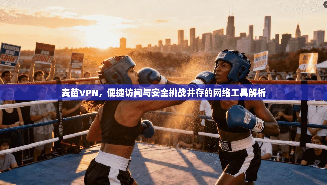 麦苗VPN，便捷访问与安全挑战并存的网络工具解析