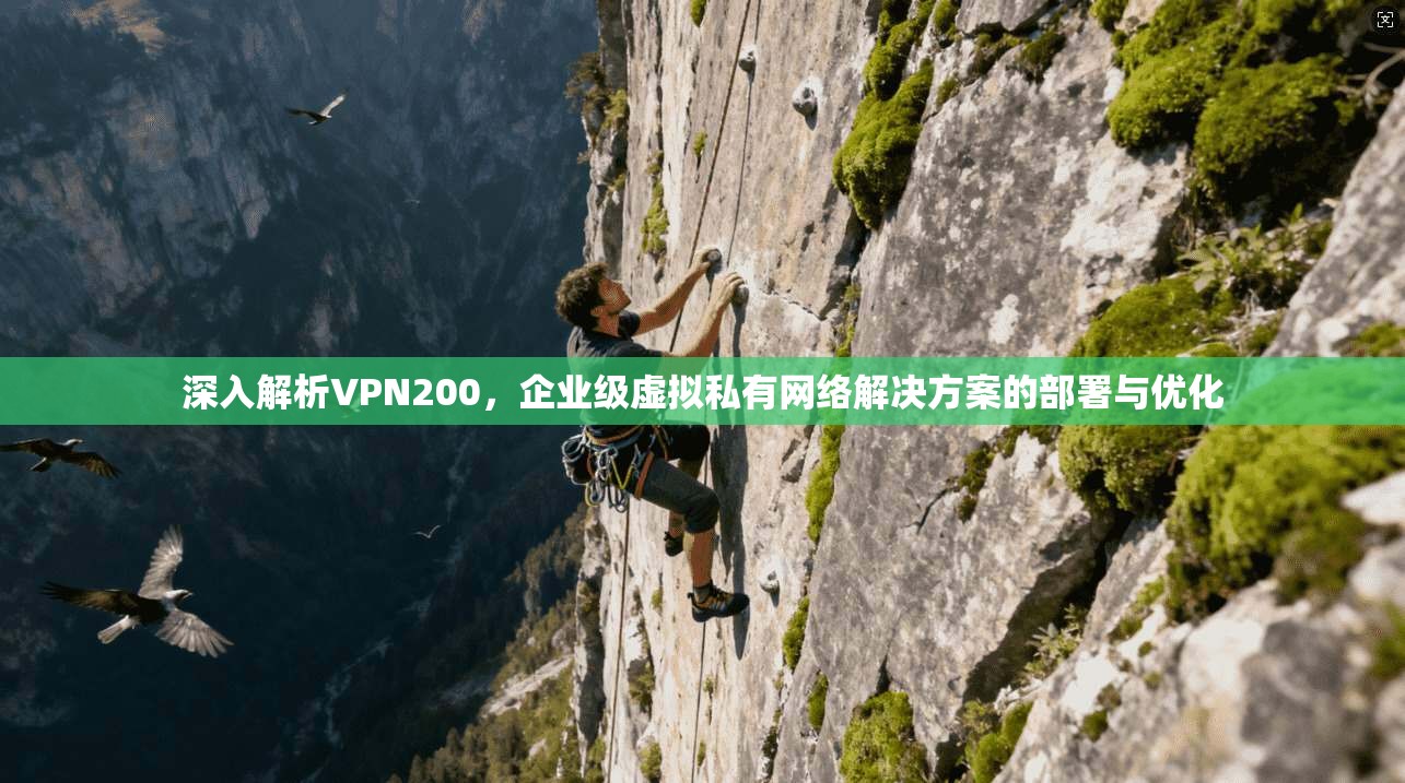 深入解析VPN200，企业级虚拟私有网络解决方案的部署与优化