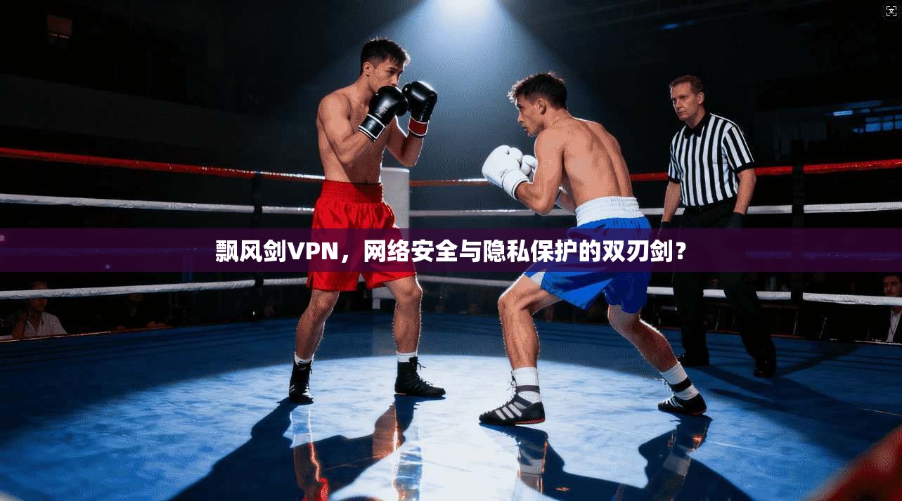 飘风剑VPN，网络安全与隐私保护的双刃剑？
