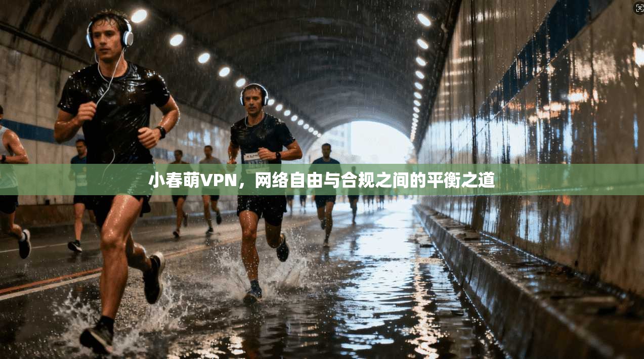 小春萌VPN，网络自由与合规之间的平衡之道