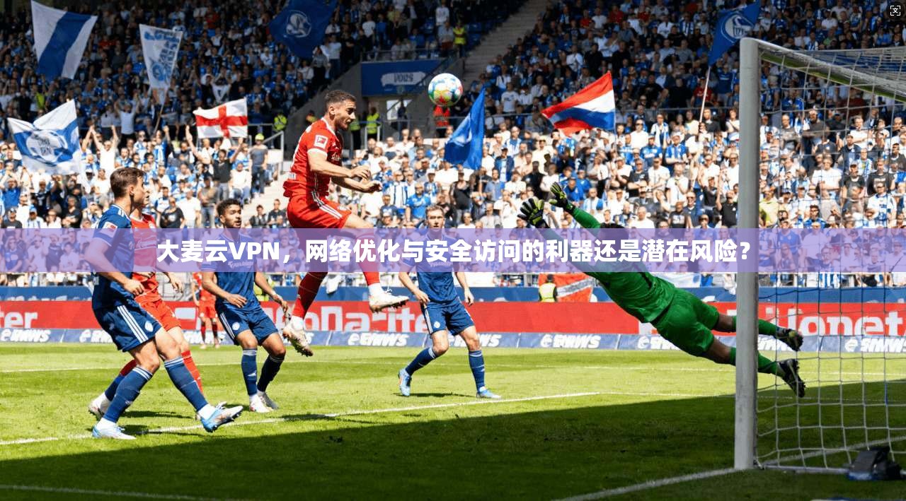 大麦云VPN，网络优化与安全访问的利器还是潜在风险？