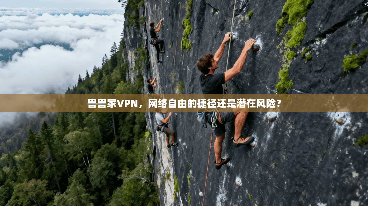 兽兽家VPN，网络自由的捷径还是潜在风险？