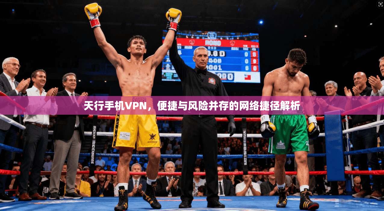 天行手机VPN，便捷与风险并存的网络捷径解析