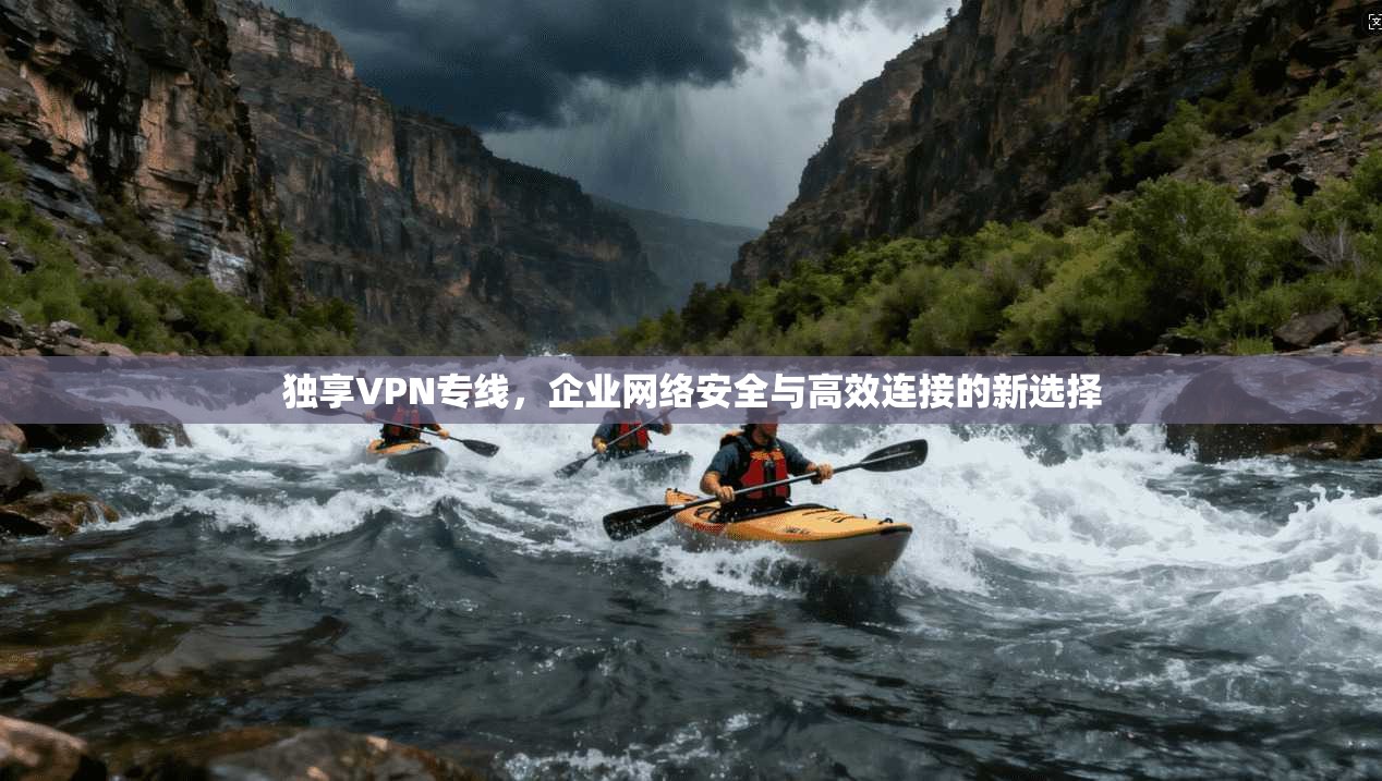独享VPN专线,企业网络安全与高效连接的新选择