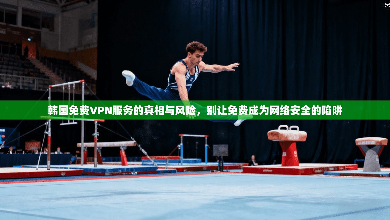 韩国免费VPN服务的真相与风险，别让免费成为网络安全的陷阱