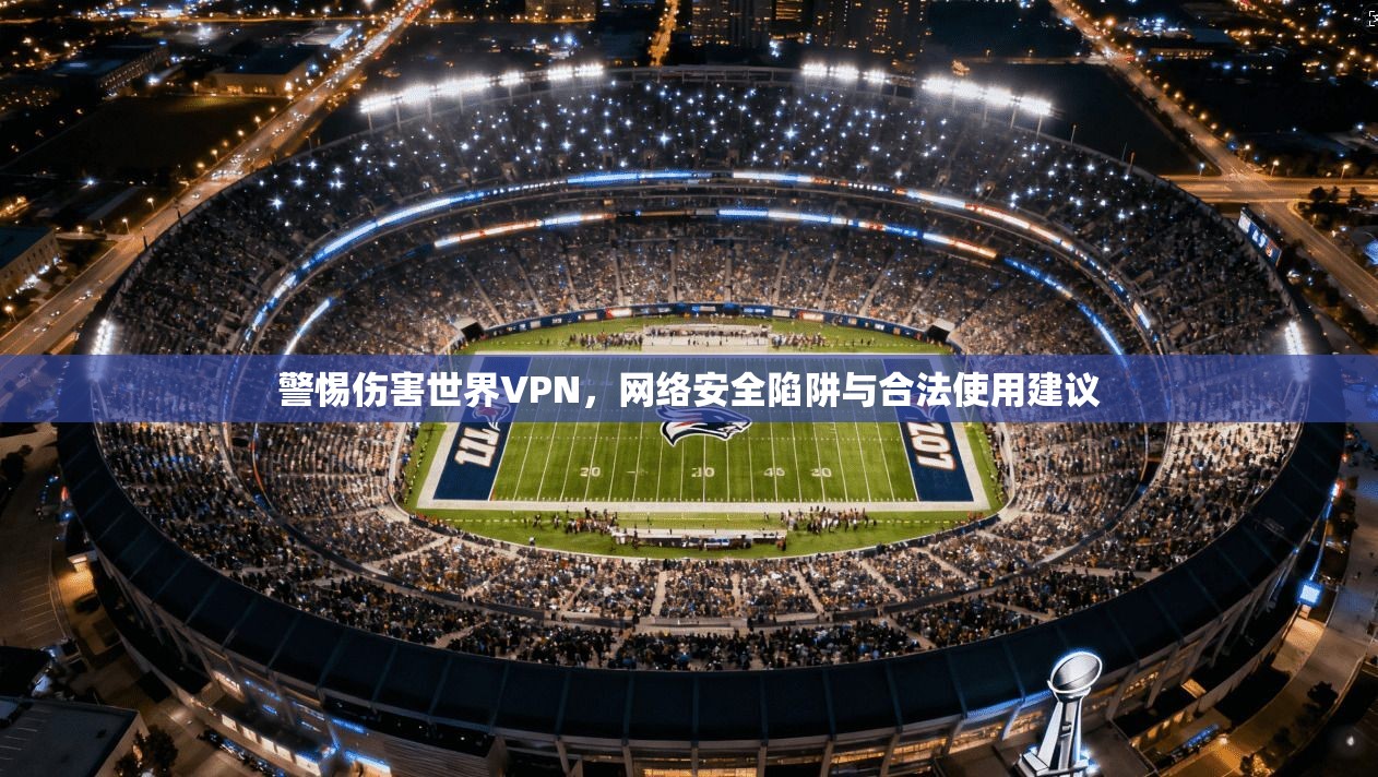 警惕伤害世界VPN，网络安全陷阱与合法使用建议