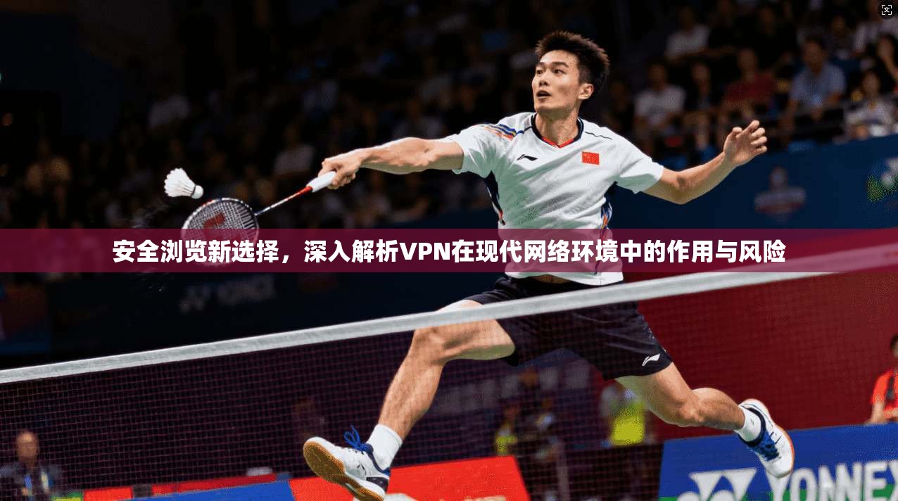 安全浏览新选择，深入解析VPN在现代网络环境中的作用与风险