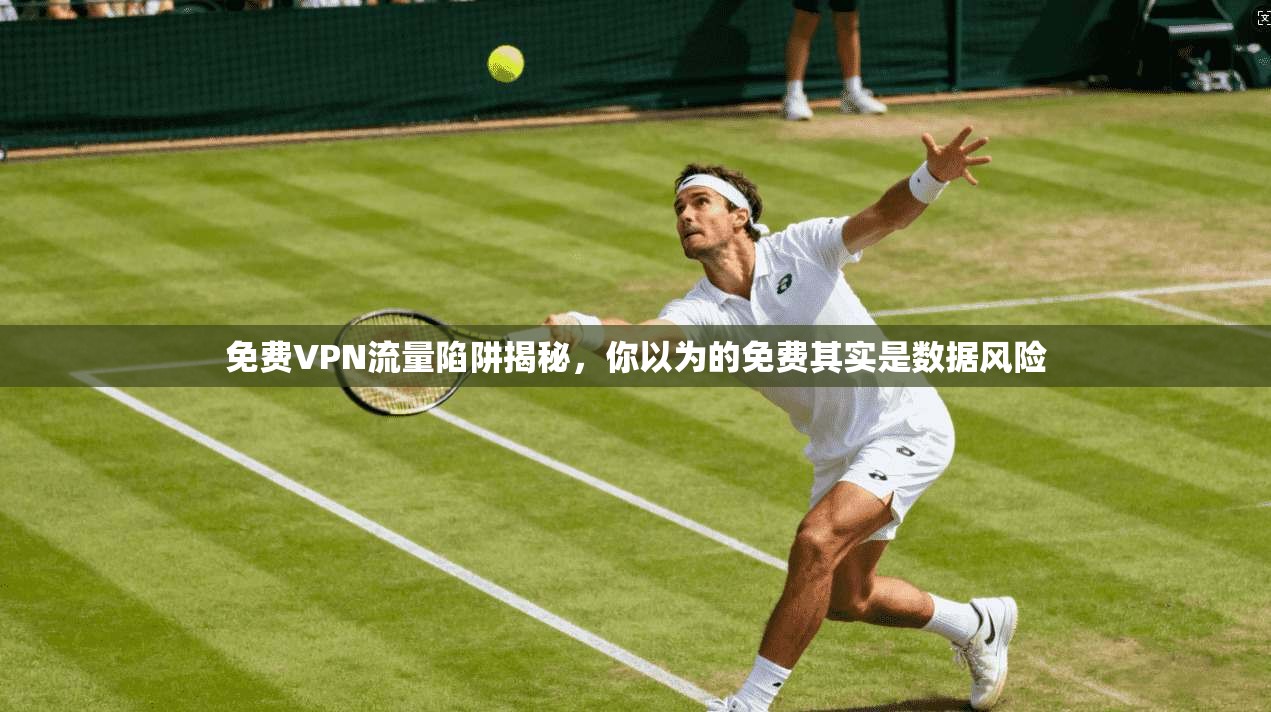 免费VPN流量陷阱揭秘，你以为的免费其实是数据风险